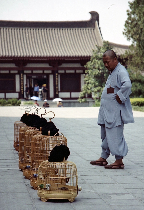 bird seller, Xian China.jpg